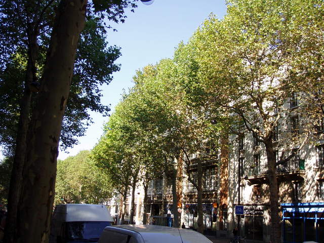 Avenue Daumesnil (6)